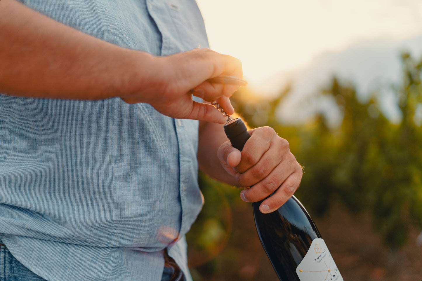 Morigine Wine Lovers
