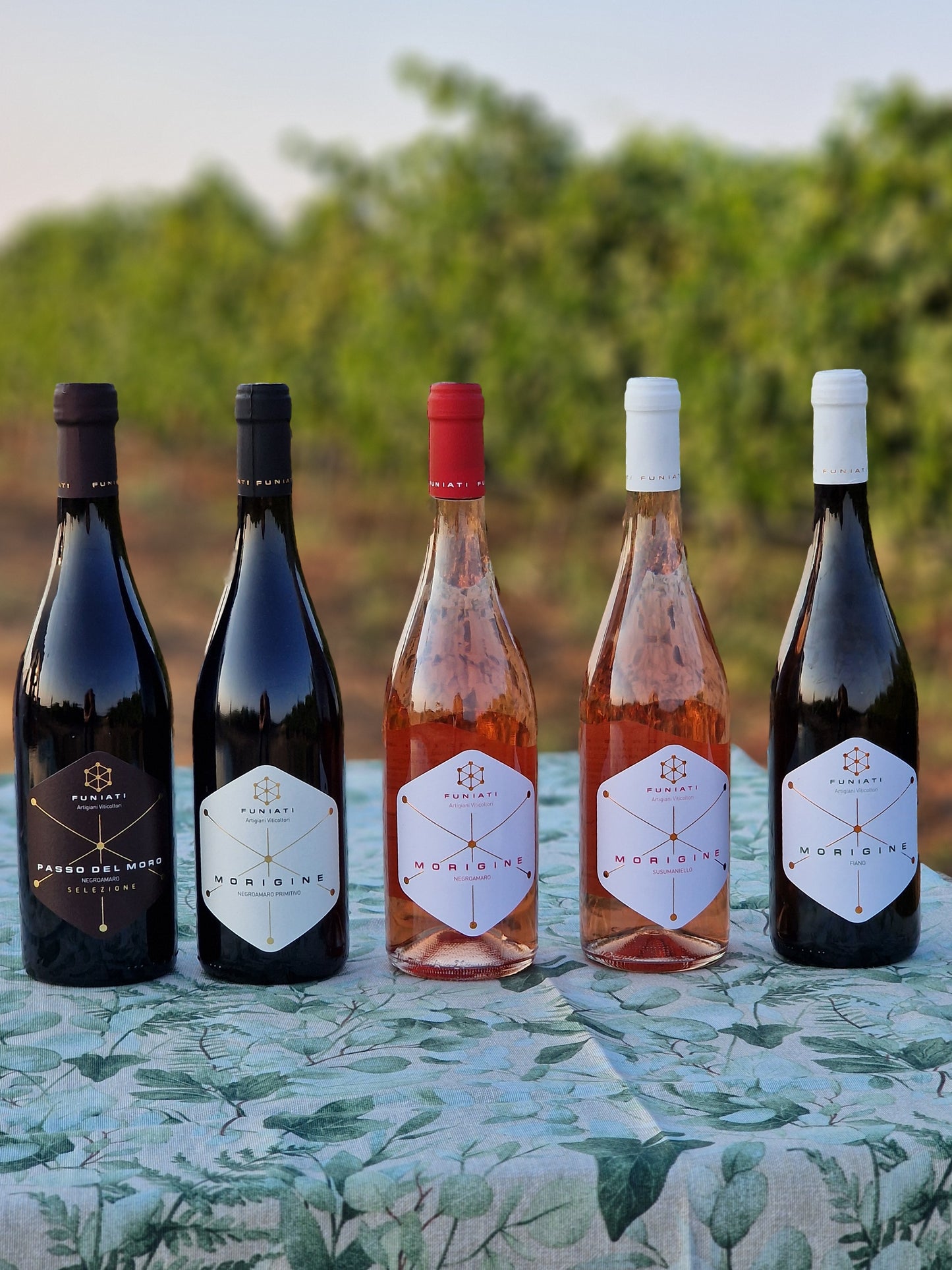 Morigine Wine Lovers