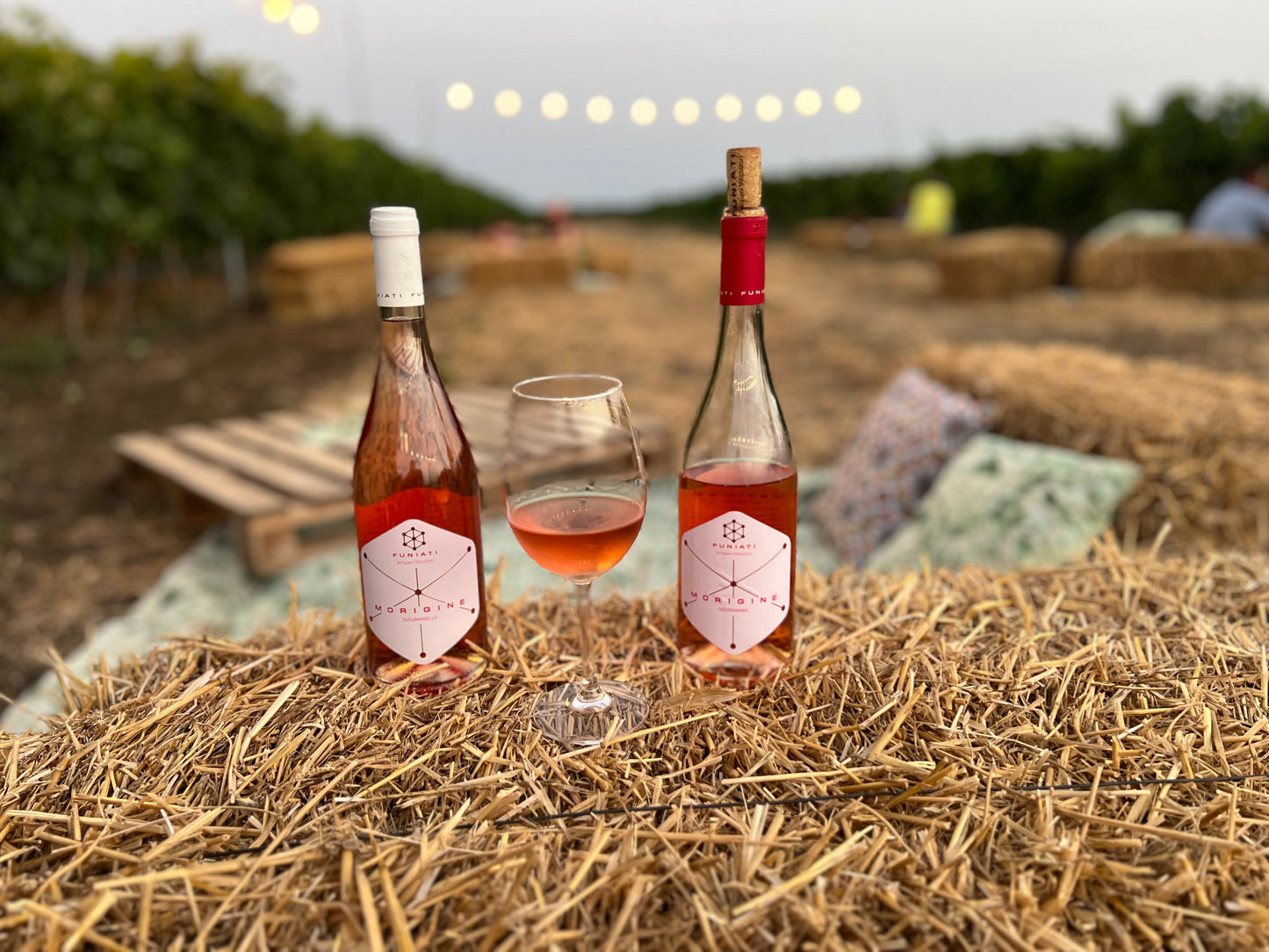 Morigine Wine Lovers