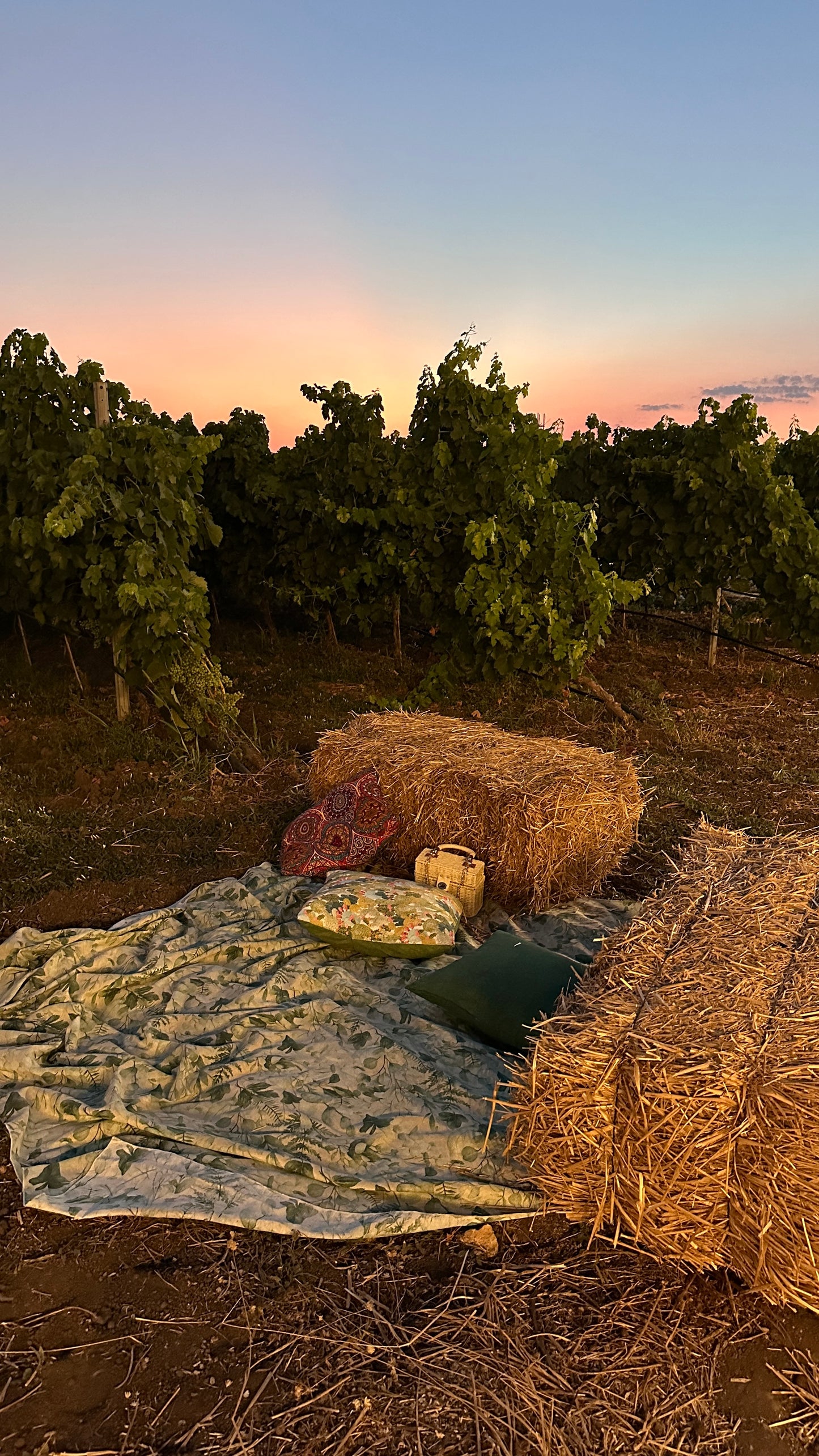 Morigine Wine Lovers