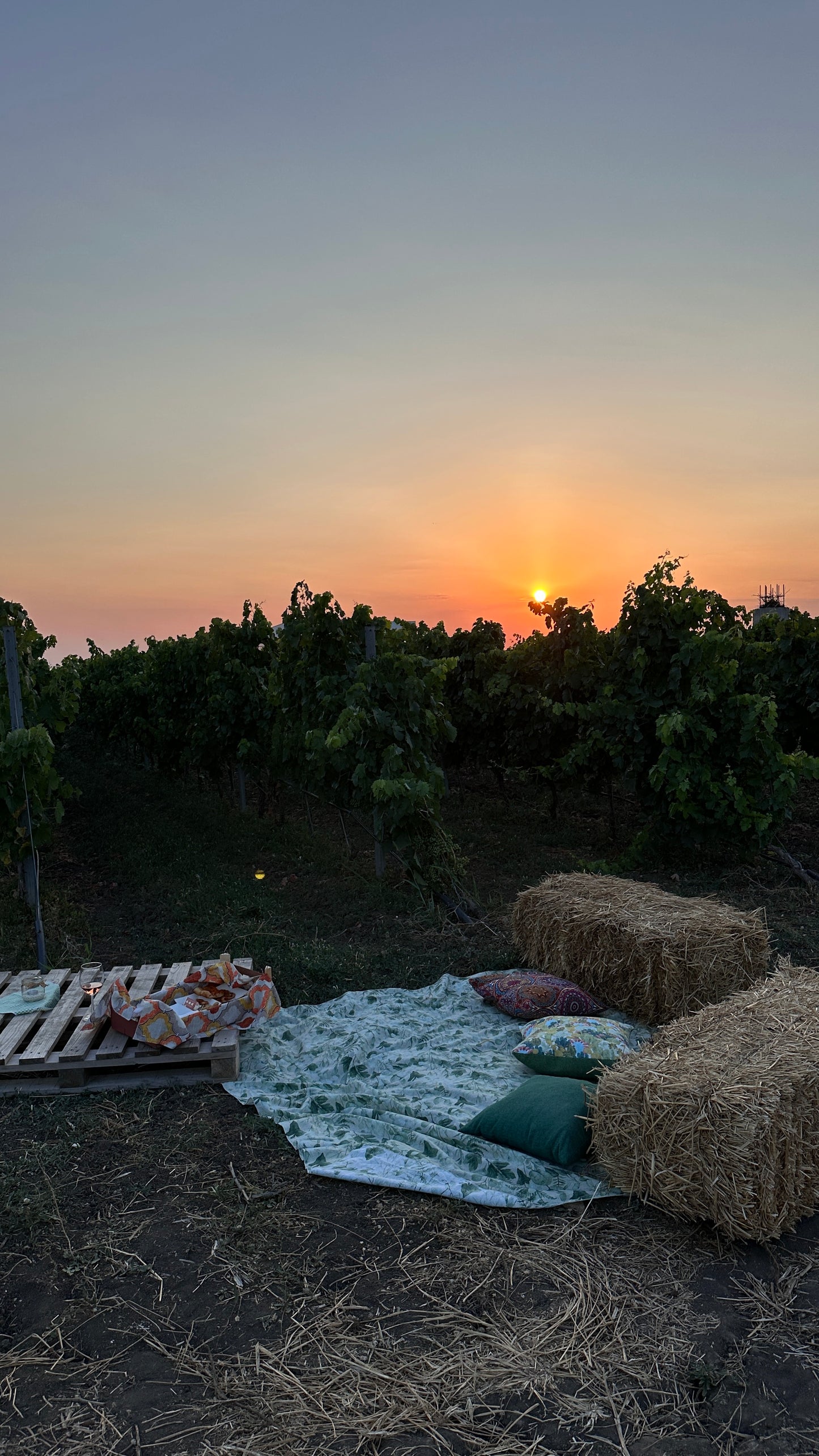 Morigine Wine Lovers